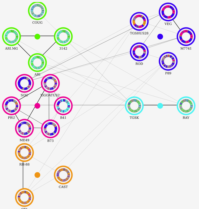 example network